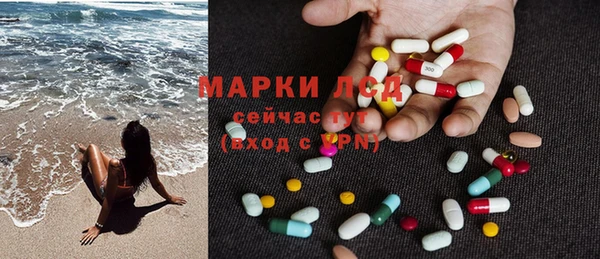 тгк Новодвинск