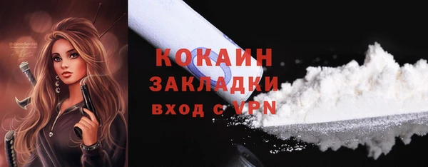 тгк Новодвинск