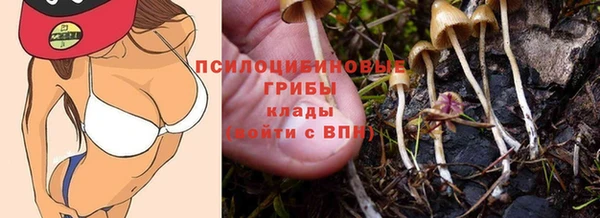 сатива Нефтекумск