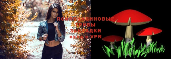 сатива Нефтекумск