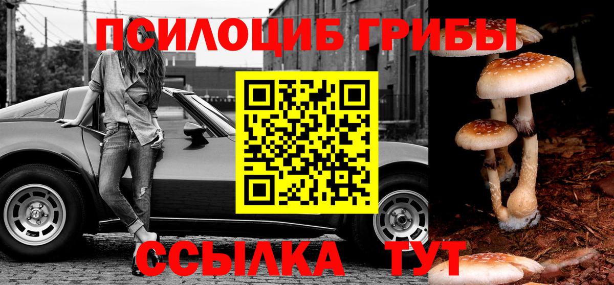 Галлюциногенные грибы мухоморы Шумерля