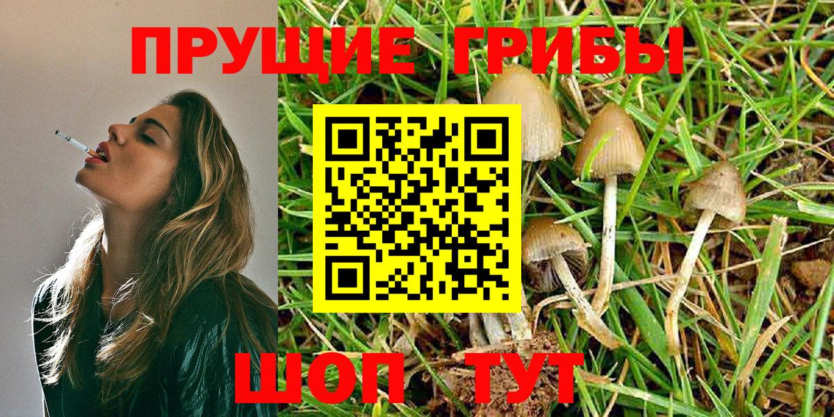 Шумерля  Псилоцибиновые грибы мухоморы  Вход с VPN 