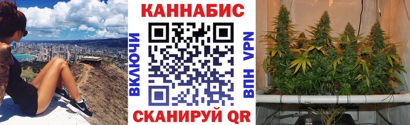 Бошки марихуана THC 21%  ОМГ ОМГ как войти  Шумерля 