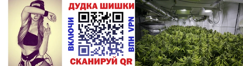 Каннабис конопля Шумерля